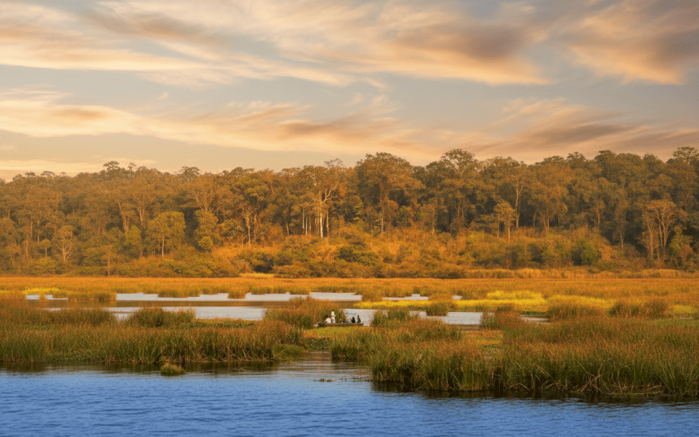 Chi phí chủ yếu khi tham quan Tràm Chim gồm vé vào cổng, dịch vụ trên thuyền và ẩm thực